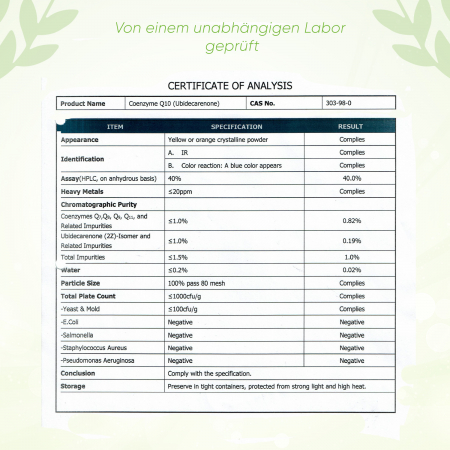 BIOTARY - Coenzym Q10 Kapseln